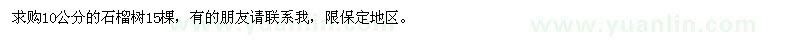 求購10公分石榴樹
