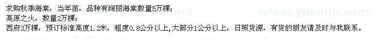 求購秋季海棠、高原之火海棠、西府海棠
