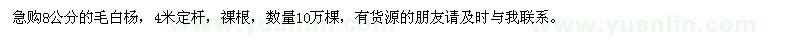 求購8公分毛白楊