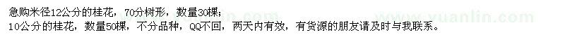 求購12公分、10公分桂花