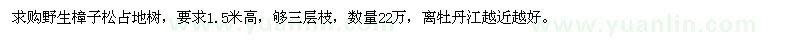 求購野生樟子松占地樹