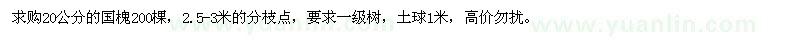 求購20公分國槐