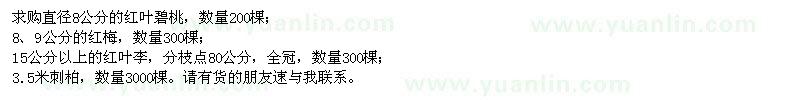 求購紅葉碧桃、紅梅、紅葉李