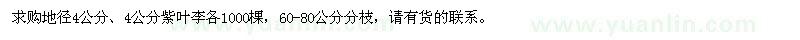 求購(gòu)地徑4公分、4公分紫葉李