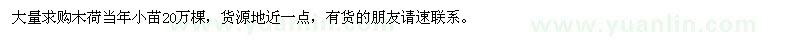 求購木荷當(dāng)年小苗