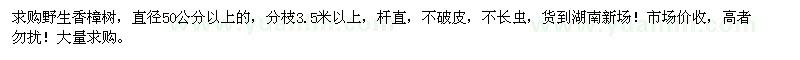 求購野生香樟樹