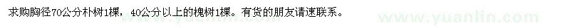 求購胸徑70公分樸樹、40公分以上槐樹