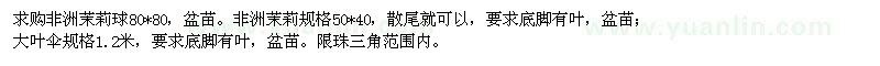 求購非洲茉莉球、大葉傘