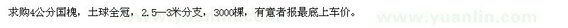 求購4公分國槐