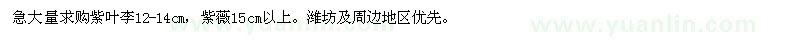 求購12-14公分紫葉李、15公分以上紫薇