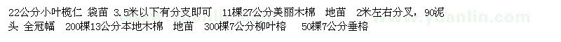 求購(gòu)小葉欖仁、美麗木棉、本地木棉、柳葉榕、垂榕