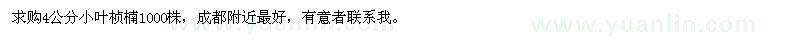 求購4公分小葉楨楠