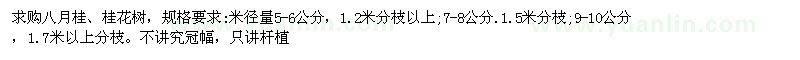 求購(gòu)八月桂、桂花樹