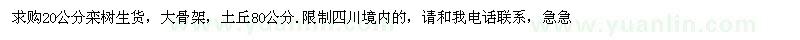 求購20公分欒樹生貨