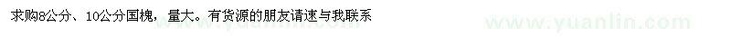 求購(gòu)8公分、10公分國(guó)槐
