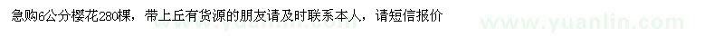 求購(gòu)6公分櫻花