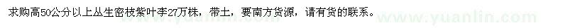 求購(gòu)高50公分以上叢生密枝紫葉李