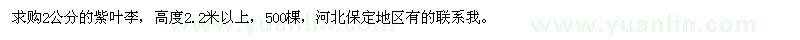 求購(gòu)2公分紫葉李