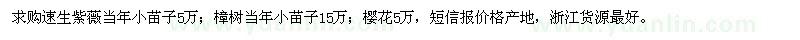 求購速生紫薇、樟樹、櫻花當(dāng)年苗