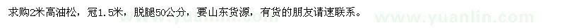 求購高2米油松