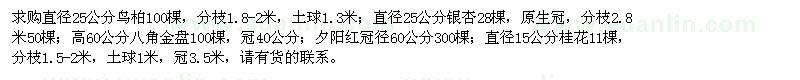 求購(gòu)鳥柏、銀杏、八角金盤、桂花、夕陽(yáng)紅