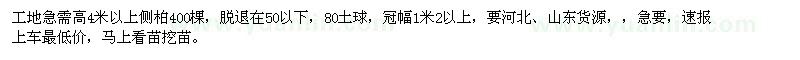 求購高4米以上側(cè)柏