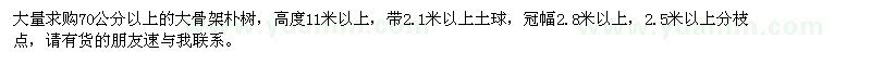 求購(gòu)70公分以上大骨架樸樹