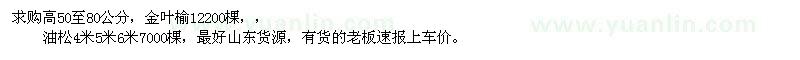 求購(gòu)金葉榆、油松