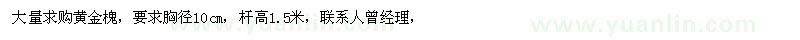求購黃金槐