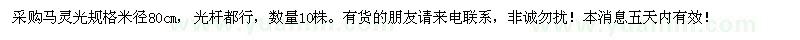 求購米徑80公分馬靈光