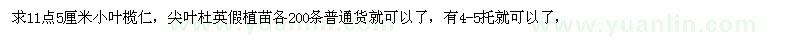 求購小葉欖仁、尖葉杜英假植苗
