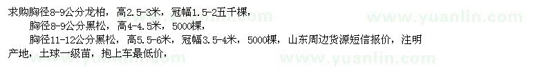 求購(gòu)龍柏、黑松