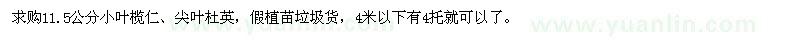 求購11.5公分小葉欖仁、尖葉杜英