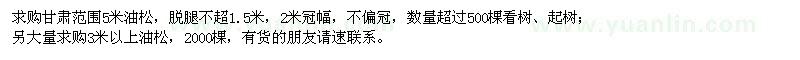 求購5米油松、3米以上油松