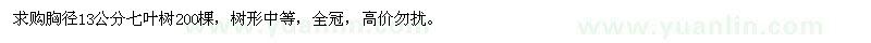 求購胸徑13公分七葉樹