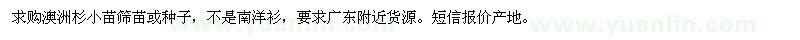 求購澳洲杉小苗篩苗或種子