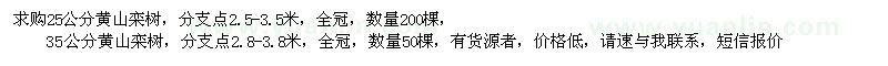 求購25公分、35公分黃山欒樹