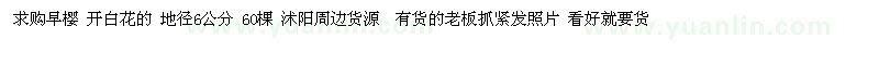 求購地徑6公分早櫻