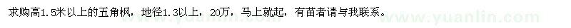 求購高1.5米以上五角楓