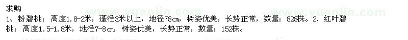 求購(gòu)高1.8-2、1.5-1.8米碧桃
