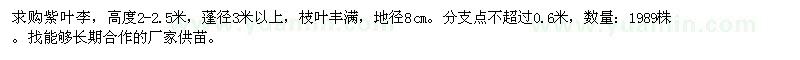 求購(gòu)蓬徑3米以上紫葉李