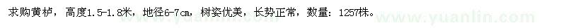 求購地徑6-7公分黃櫨