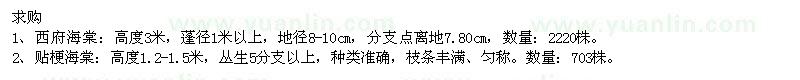 求購(gòu)西府海棠、貼梗海棠