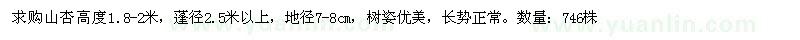 求購地徑7-8公分山杏
