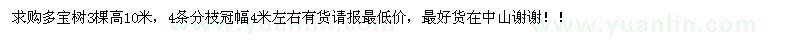 求購多寶樹