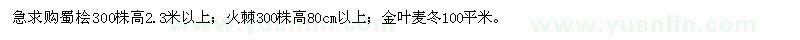 求購蜀檜、火棘、金葉麥冬