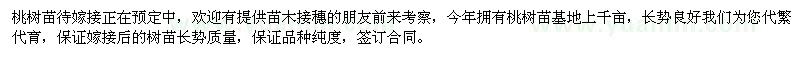 求購桃樹苗接穗