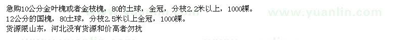 求購(gòu)金葉槐、金枝槐、國(guó)槐 