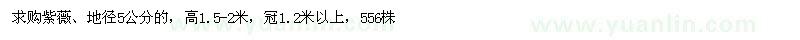 求購紫薇
