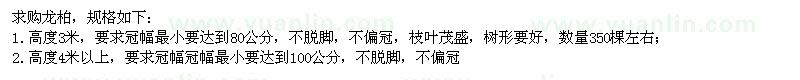 求購高3米、4米以上龍柏